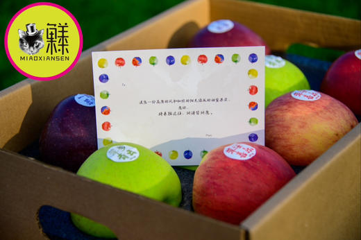 喵菓基地～苹安盒子🍎四色拼装12颗装 商品图4