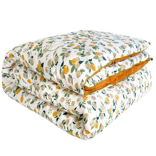 新款A类水洗棉双层纱大豆被春秋被芯冬被 商品图4