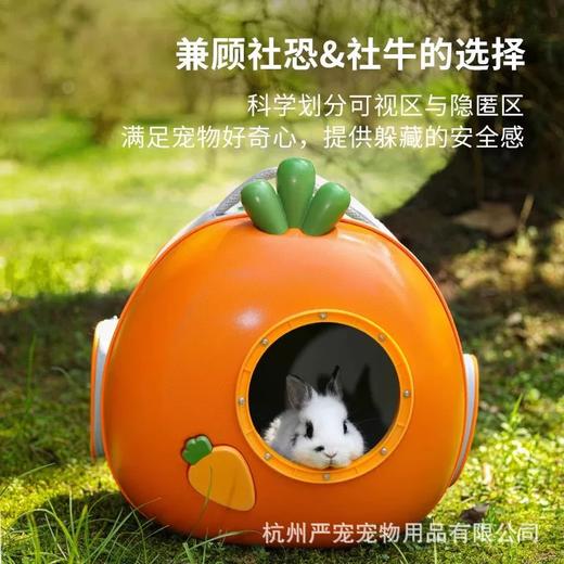 卡诺小宠胡萝卜外带包 商品图1