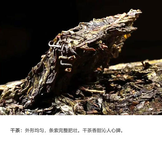 生普 | 2024年昔枝 昔归黄金叶 250g/片 商品图2