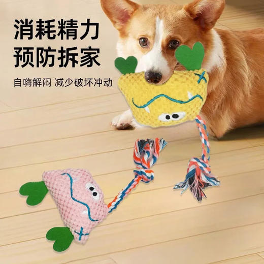解闷呆萌怪兽狗狗玩具毛绒发声狗玩具磨牙耐咬带绳结颜色随机/个 商品图1