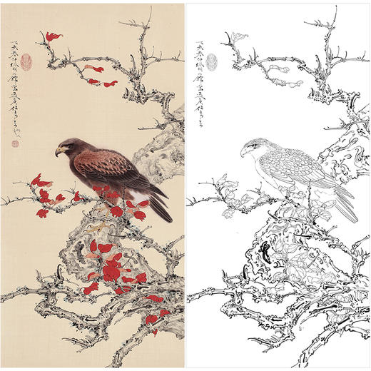 任重花鸟老鹰工笔画白描底稿《独立寒秋》临摹勾线高清打印稿RD23 商品图0