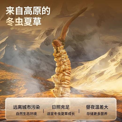 【正宗同仁堂品牌】北京同仁堂冬虫夏草礼盒官方虫草干货送父母SY 称心礼盒B款 20支装 商品图2