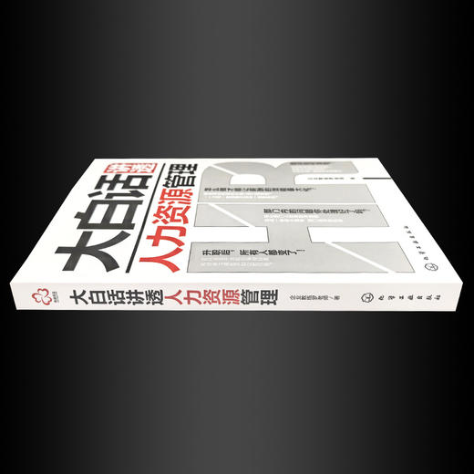 大白话讲透人力资源管理 商品图3