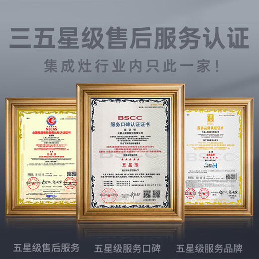 火星人F75BC集成灶 蒸烤一体集成灶 侧吸下排燃气灶 左排烟 天然气 商品图5