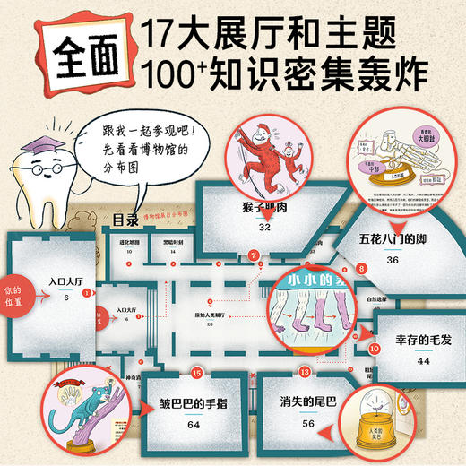 洛伦兹：人类进化博物馆（精）（7+岁） 商品图1