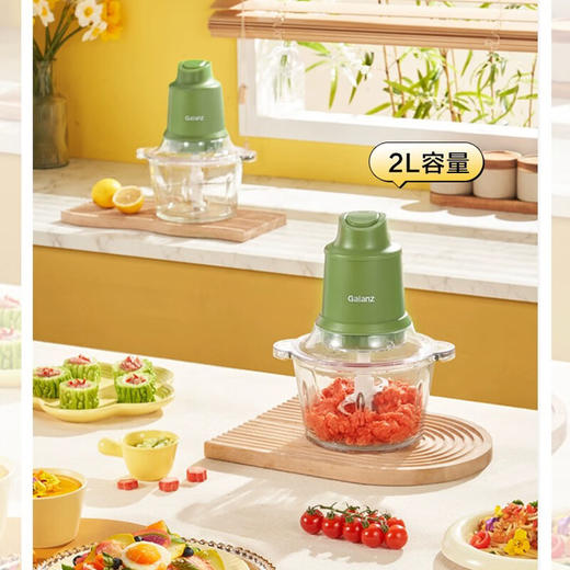 格兰仕（Galanz）电动绞肉机 家用 料理机 搅拌机 绞馅机 小型辅食机 多功能电动打肉打蒜蓉机 XJR2005 商品图0