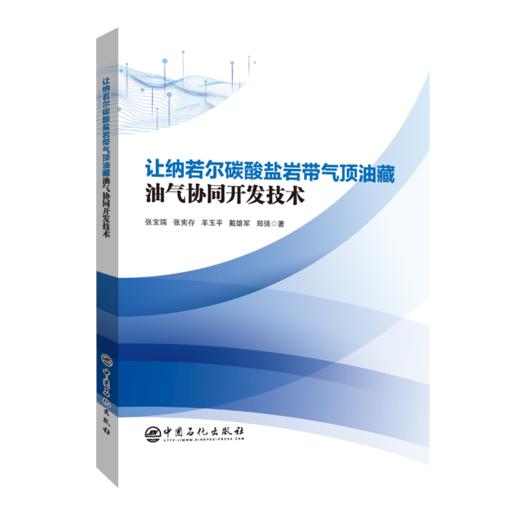 让纳若尔碳酸盐岩带气顶油藏油气协同开发技术 商品图0