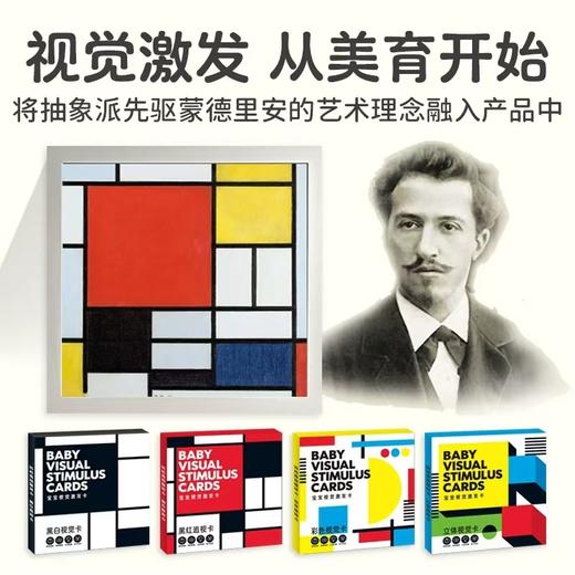 宝宝视觉激发卡：全4册（0-3岁） 商品图2
