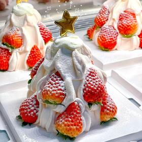 【圣诞主题】创意圣诞树003款