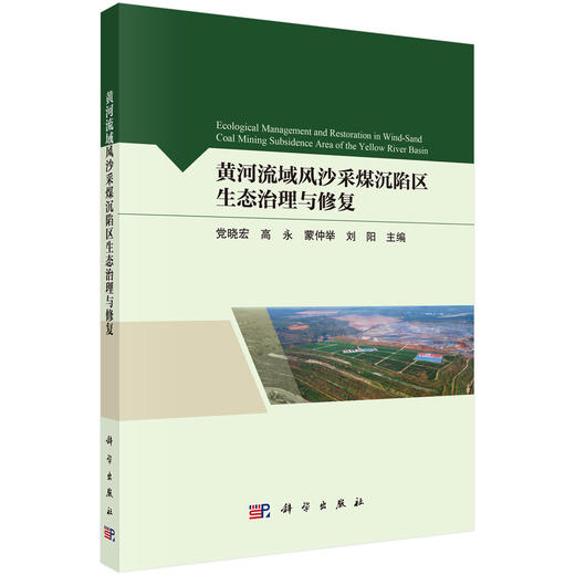 黄河流域风沙采煤沉陷区生态治理与修复 商品图0
