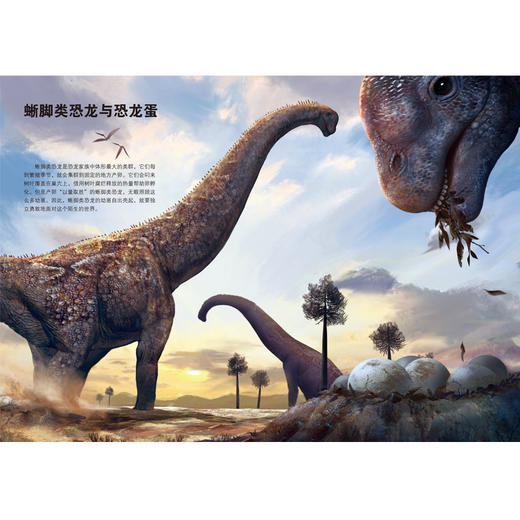 【2025年】我们爱科学【儿童版网络版】1-12月订阅 商品图3