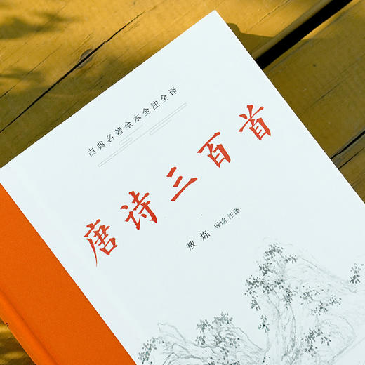 古典名著全本全注全译：唐诗三百首 商品图3