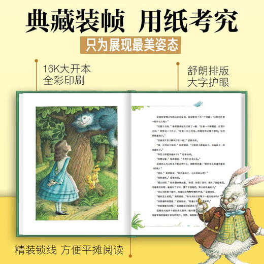 海豚百年经典文库：爱丽丝漫游奇境（精）（8+岁） 商品图4