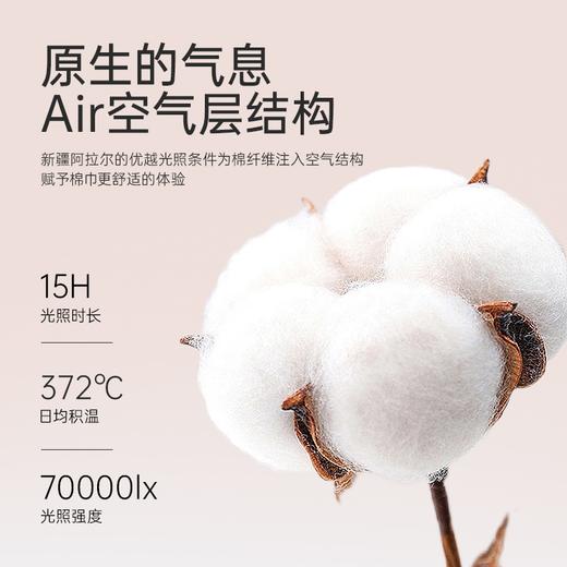 洁丽雅三角内裤女款中腰柔软性感蕾丝透气清凉女士个性高级感短裤 商品图4