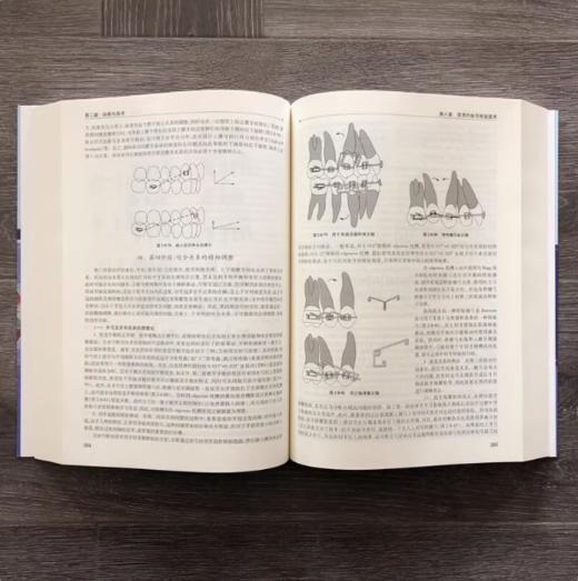 口腔正畸学—基础、技术与临床 商品图1