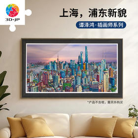 3000片 平面塑料拼图 H3890 全景长版拼图-谭泽鸿-上海，浦东新貌