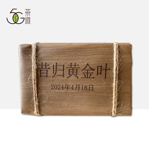 生普 | 2024年昔枝 昔归黄金叶 250g/片 商品图1