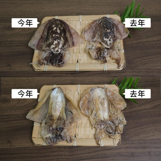 【熬夜必备】东海野生墨鱼干 自然淡晒 滋阴海鲜煲汤滋补干货年货 商品图4