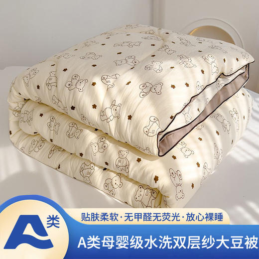 新款A类水洗棉双层纱大豆被春秋被芯冬被 商品图0
