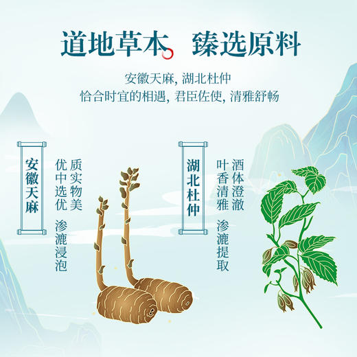 【特色浸泡】2.3L40度劲牌天麻杜仲酒 商品图4