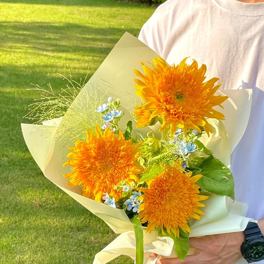 【山野花社】AB级泰迪小花向日葵3支+AB级蓝星花3支+AB级喷泉草2支 商品图0