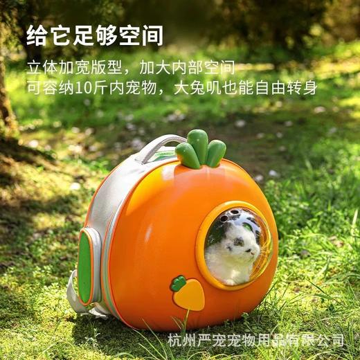 卡诺小宠胡萝卜外带包 商品图2