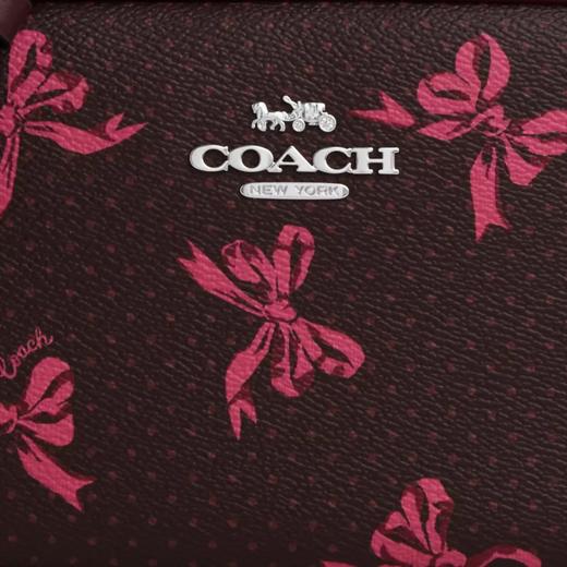 只要￥1050！Coach Mini Jamie🎀蝴蝶结印花 相机包 商品图5