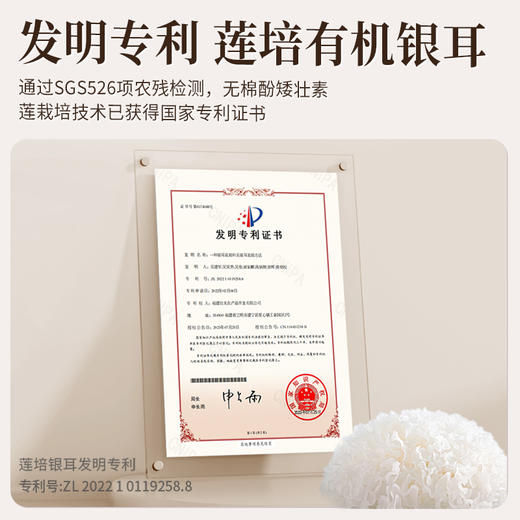 有机银耳 商品图10