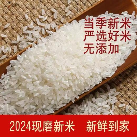 乔府大院长粒香米5kg 商品图2