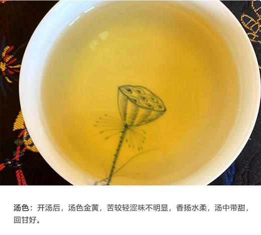 生普 | 2024年昔枝 昔归黄金叶 250g/片 商品图3