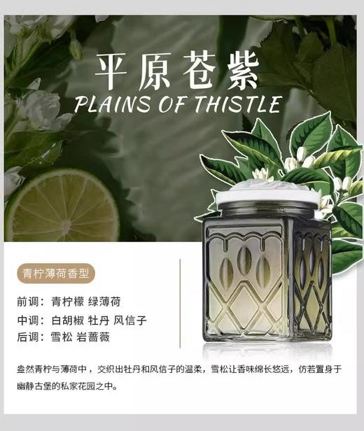 【清仓好价】泊诗蔻学院系列香薰蜡烛200g 带扩香盖（效期至25.10） 商品图3