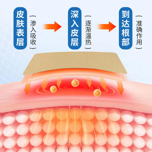 百年扁氏健关宁氨糖软骨素贴 商品图3