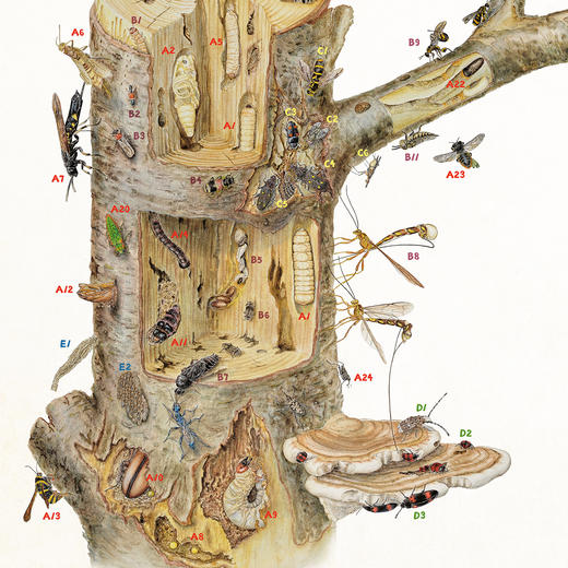 《博物》 2026年12期征订  商品图9