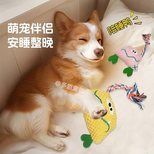 解闷呆萌怪兽狗狗玩具毛绒发声狗玩具磨牙耐咬带绳结颜色随机/个 商品图2