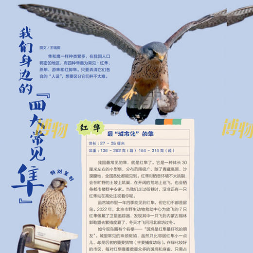 《博物》 2026年12期征订  商品图11