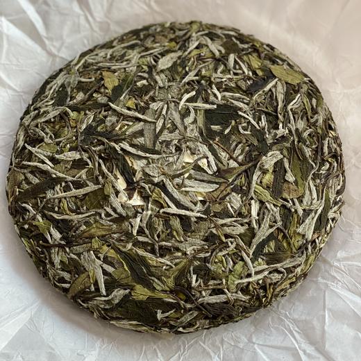 自家系列丨 2024年  立仁白牡丹350g 商品图1