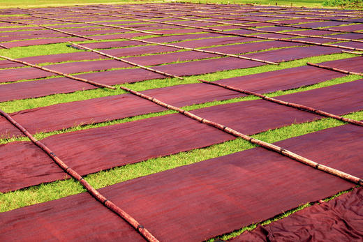 11月26日 特惠98元！【非遗】顺德香云纱，嗮塔香拍摄1天 商品图8