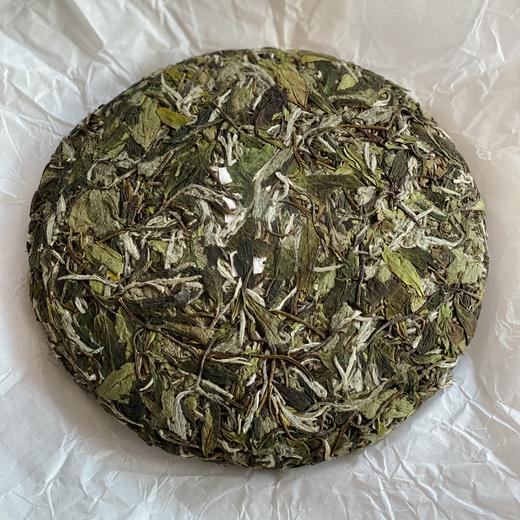 自家系列丨鍂 白牡丹 2023年 350g饼 商品图1