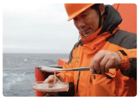 “鱼肝油”和“磷虾油”哪个好?事关家里老人健康!可惜很少有人知道.....