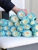 厄瓜多尔进口染色玫瑰sky blue冰雪公主10支 商品缩略图2