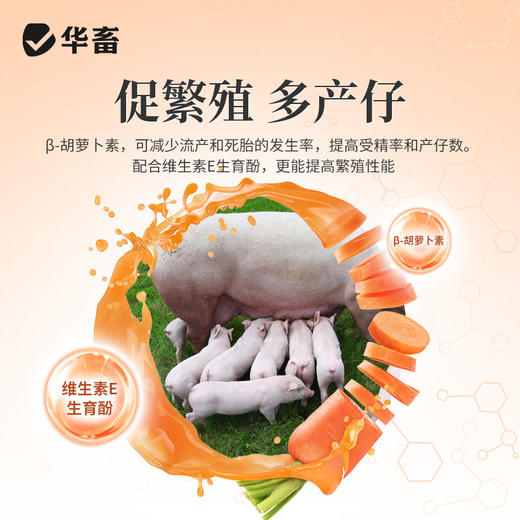 兽用β-胡萝卜素微粒粉禽畜鸡鸭鹅奶羊奶牛母猪种禽饲料添加剂 商品图3