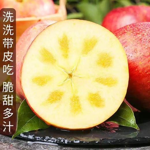正宗新疆阿克苏冰糖心大苹果礼盒装7kg/箱新鲜当季 商品图1
