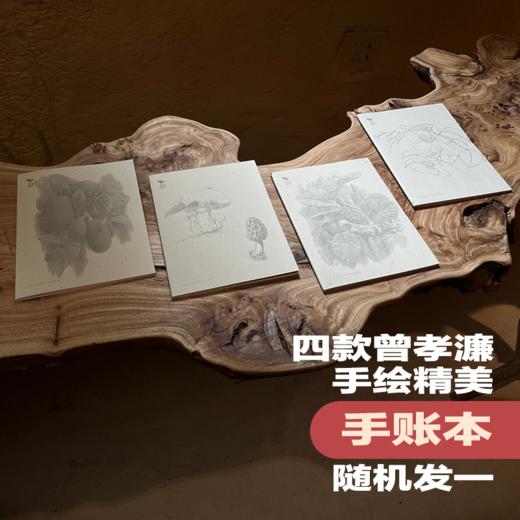 《自然而然  曾孝濂自传》 藏书票版 首批定制藏书票仅500份 商品图8