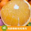 【京东/德邦发货】2025 赣南脐橙 新鲜采摘果园直达 酸甜多汁 肉质鲜嫩 新鲜直达 4.5斤 9斤装 商品缩略图1