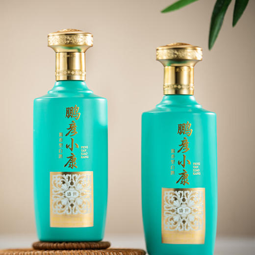 鹏彦小康·盛世 商品图2