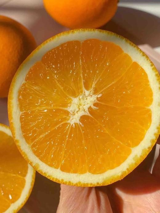 【12.7积分当钱花】正宗赣南脐橙10斤 商品图4