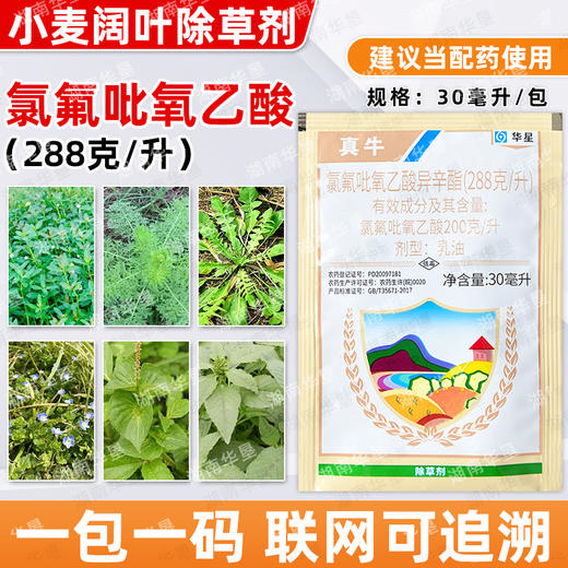 氯氟吡氧乙酸小麦阔叶杂草猪秧秧水花生空心莲子草专用除草剂正品 商品图3