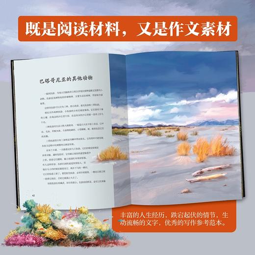 去探险：达尔文的小猎犬号航海日记 商品图2