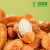 【疆果果】益生菌每日坚果 酸奶益生菌核桃仁巴旦木仁 商品缩略图8
